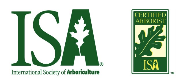 What is an ISA Certified Arborist? Tips Twin Cities Tree Care